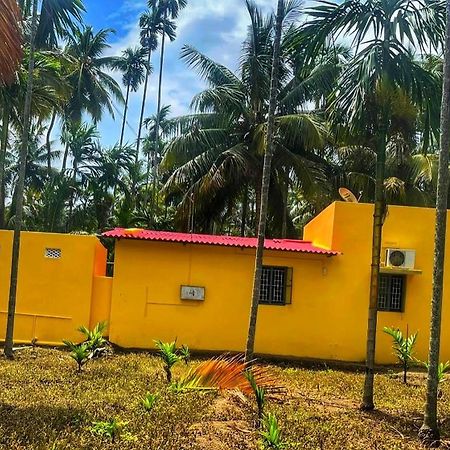 Shivalaya Farmstay Located Amdist Coconut Farm With River Access Near Isha,Adiyogi,Siruvani Alāndurai Exteriér fotografie