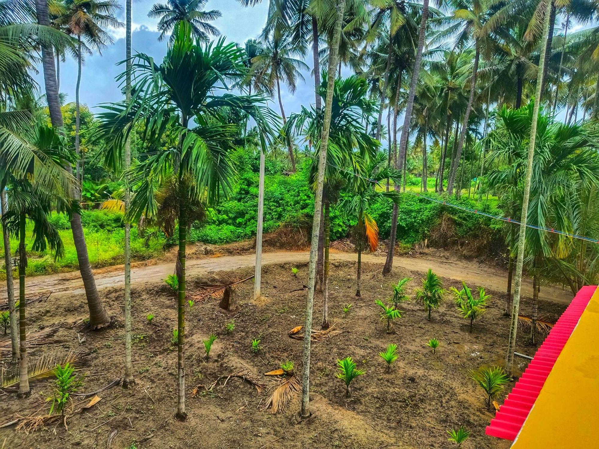 Shivalaya Farmstay Located Amdist Coconut Farm With River Access Near Isha,Adiyogi,Siruvani Alāndurai Exteriér fotografie